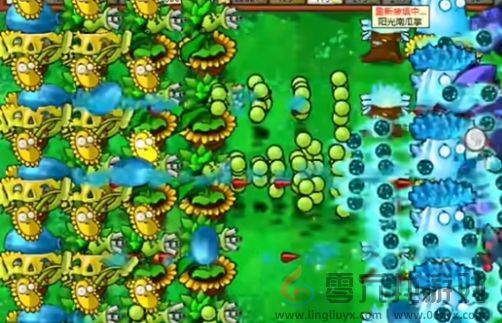 《植物大战僵尸杂交版》迷你游戏你看他们像柱子一样通关攻略(图5) 《植物大战僵尸杂交版》迷你游戏你看他们像柱子一样通关攻略(图5)