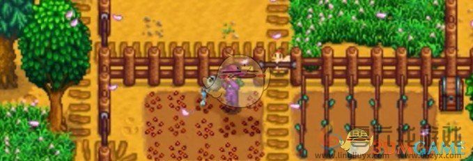 星露谷物语提升采集效率的方法(图1) 星露谷物语提升采集效率的方法(图1)