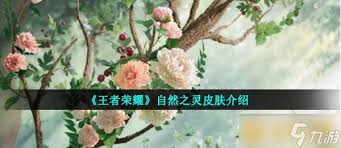 王者荣耀自然之灵皮肤全面介绍(图1) 王者荣耀自然之灵皮肤全面介绍(图1)