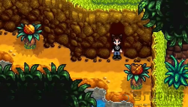 星露谷物语姜岛北部金核桃在哪(图19) 星露谷物语姜岛北部金核桃在哪(图19)