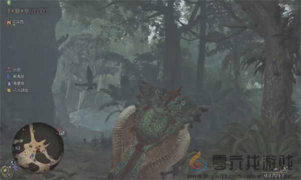 怪物猎人荒野端丽翼鸟具体位置分享(图8) 怪物猎人荒野端丽翼鸟具体位置分享(图8)