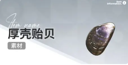 开放空间赶海物什么时候出现(图22) 开放空间赶海物什么时候出现(图22)