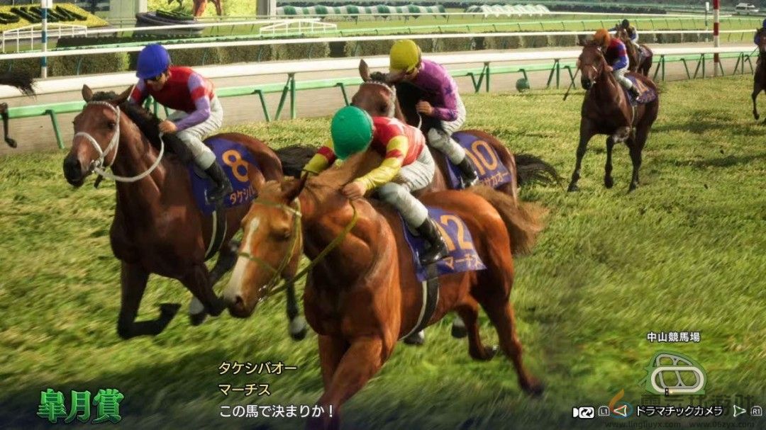 《赛马大亨10 2026》2026年3月26日发售 系统玩法进化(图6)